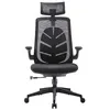 Image de Chaise ergonomique pour bureau Iconic