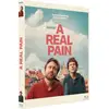 Image de A Real Pain
