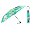 Image de Parapluie pliant - Parapli Parisienne 2 - Pylones