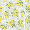 Image de Tissu coton citron vendu par 50 cm(...) - 0004 Jaune