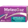 Image de Météogaz sticks orodispersibles