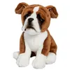 Image de Peluche boxer assis 30 centimetre