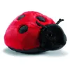 Image de anima peluches - peluche anima coccinelle 20 cm