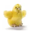 Image de Poussin 10cm