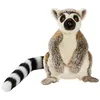 Image de Peluche Lemurien de Madagascar 28cm