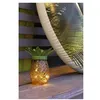 Image de Ananas solaire - GALIX