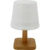 Image de Lampe de table solaire GALIX G4410 - 25 Lumens - H20 cm