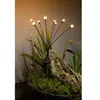 Image de Decoration lumineuse solaire G4435 - Forme bouquet - 8 LED - H69 cm