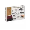 Image de Kit outils et tampons Crealign Peinture Rupestres