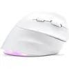 Image de BLUESTORK Souris Ergonomique Sans Fil