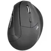 Image de BLUESTORK Ergono Mouse