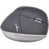 Image de Bluestork M-WL-ERGO-BK (Sans fil), Souris, Noir