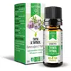 Image de Dayang Huile Essentielle Bio Thym Thymol 5 ml