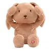 Image de Doudou Pioupiou Et Merveilles Valentin le lapin