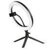 Image de SRING 10'' kit anneau lumineux 25cm