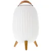 Image de Lanterne nomade musicale EZIlight Ambiant XL Bluetooth Blanc