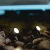 Image de Projecteurs solaires EZIlight® Solar multi spot - 2 packs de 4 lampes