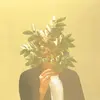Image de French Kiwi Juice Vinyle album