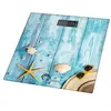 Image de Little Balance Seashells - Balance