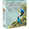 Image de Oiseaux de Paradis