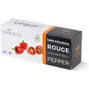 Image de Véritable, Graines, Bio-Paprika (Graines de légumes)