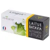 Image de Lingot Véritable Laitue Batavia