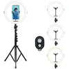 Image de Trépied ajustable + anneau LED Agfaphoto ARL11XL Noir