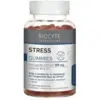 Image de Biocyte Stress Gummies x 60