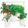 Image de Capsule Prêt à Pousser Mini-Tomates