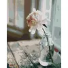 Image de Peinture par numéro Figured'Art Fleur blanche 40x50 cm