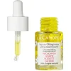 Image de Sérum Oléagineux ultra-nourrissant - La Canopée