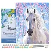 Image de Peinture par Numéro Figured'Art avec Cadre - Cheval et Fleurs blanches - Kit de Loisir Créatif DIY Numéro d'Art - 40x50cm toile tendue sur châssis