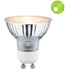 Image de Paulmann, Ampoule, Réflecteur (GU10, 320 lm, 1x)
