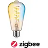Image de Paulmann, Ampoule, Piston (E27, 600 lm, 1x)