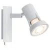 Image de Spot led teja 2 x gu10 max 10 w blanc - paulmann - blanc