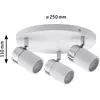 Image de Paulmann, Spot de plafond, Lampe de salle de bain Zyli (GU10)
