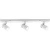 Image de Paulmann, Spot de plafond, Zyli (GU10)