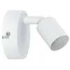 Image de Spotlight Carolina GU10 230V max. 10W gradable Blanc dépoli
