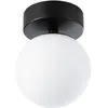 Image de Paulmann, Plafonnier, Plafonnier à LED PAUL (460 lm)