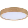 Image de Paulmann, Plafonnier, Plafonnier à LED (1200 lm)