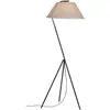 Image de Paulmann, Lampe de table, Neordic Narve (E27)