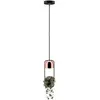 Image de Paulmann, Suspension, Fanja (GU10)
