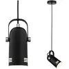 Image de Paulmann, Suspension, Luminaires Lavea (E27)