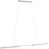 Image de Paulmann, Suspension, Aptare Zibee (4100 lm)