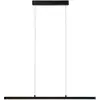 Image de Paulmann, Suspension, Lento Zigbee (2100 lm)