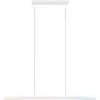 Image de Paulmann, Suspension, Lento Zigbee (2100 lm)