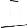Image de Paulmann, Suspension, Aptare (3600 lm)