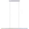 Image de Paulmann, Suspension, Lento Bluetooth (1800 lm)