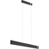 Image de Paulmann, Suspension, Jagun (2800 lm)