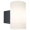 Image de Applique d'extérieur Tube IP54 cylindrique 120x200mm max. 15W 230V Anthracite Matière plastique